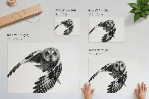 Canvas poster Owl in flight
