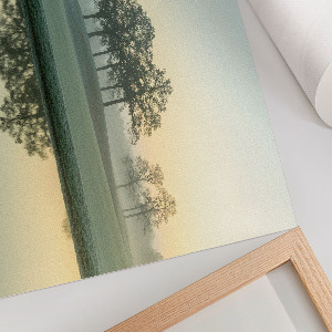 Premium wall art featuring a morning landscape