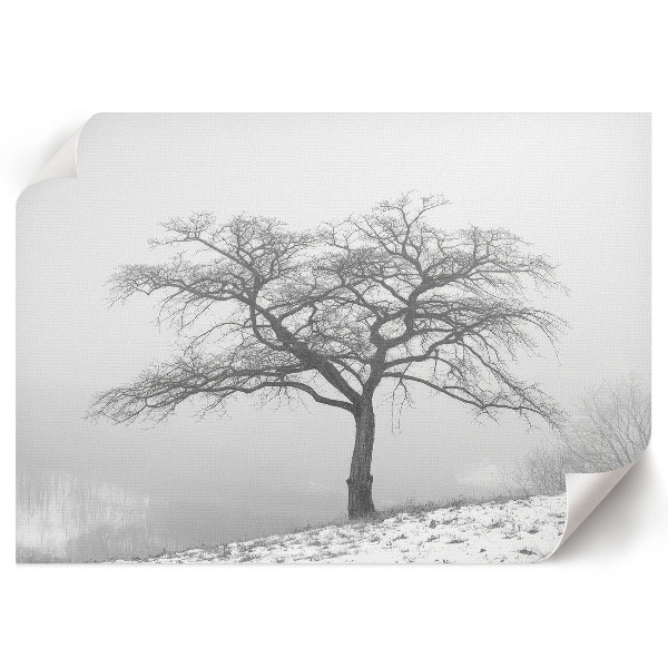 Canvas poster featuring a winter tree