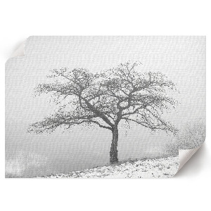 Canvas poster featuring a winter tree