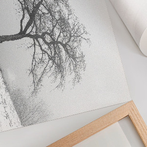 Canvas poster featuring a winter tree