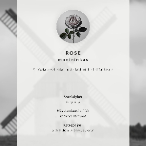 Premium wall art Windmill with horses