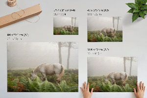 Canvas poster depicting a horse in a forest