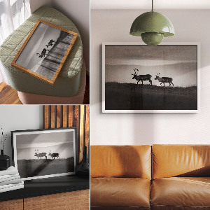 Canvas poster with a reindeer in a natural landscape