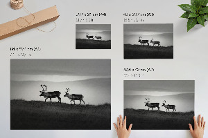 Canvas poster with a reindeer in a natural landscape