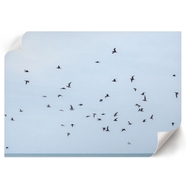 Wall poster with birds in flight
