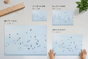 Wall poster with birds in flight