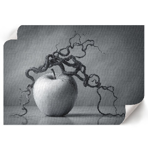 Premium wall art featuring an apple with branches
