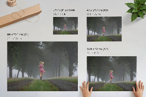 Canvas poster showing a runner moving through a forest