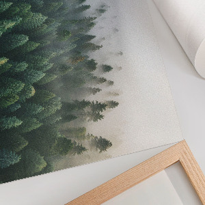 Wall poster Mysterious forest