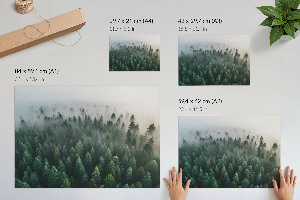 Wall poster Mysterious forest
