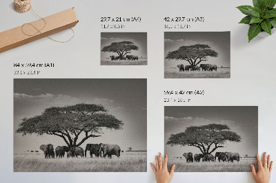 Modern wall art poster with an African savannah motif