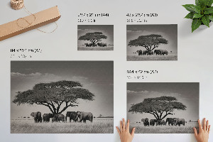Modern wall art poster with an African savannah motif
