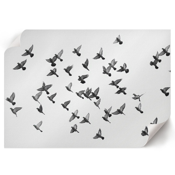 Canvas poster depicting flying birds