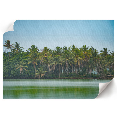 Premium wall art featuring a tropical view