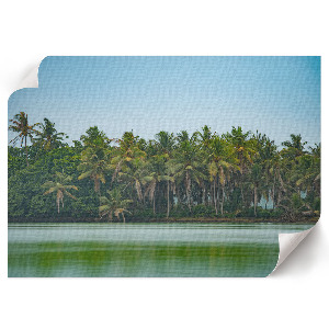 Premium wall art featuring a tropical view