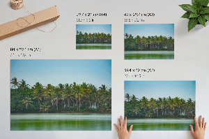 Premium wall art featuring a tropical view