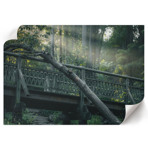 Modern wall art poster depicting a forest bridge