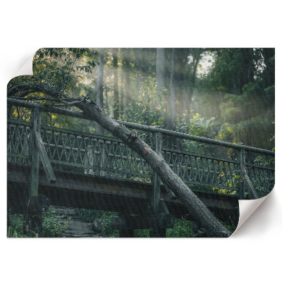 Modern wall art poster depicting a forest bridge