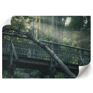 Modern wall art poster depicting a forest bridge