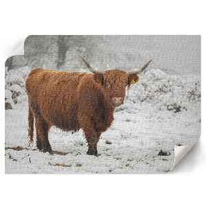 Premium wall art depicting a winter scene