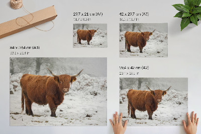 Premium wall art depicting a winter scene