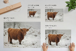 Premium wall art depicting a winter scene