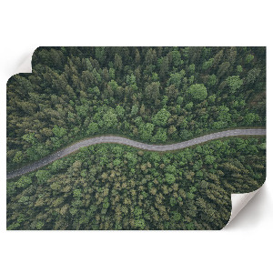 Wall poster depicting a forest road