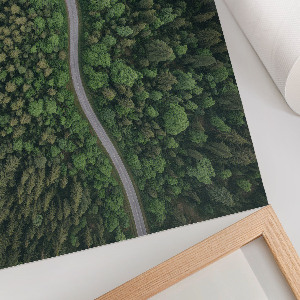 Wall poster Forest road