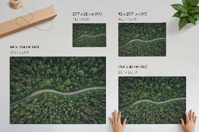 Wall poster depicting a forest road