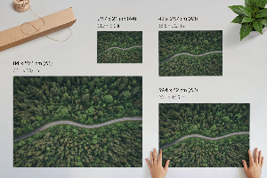 Wall poster depicting a forest road