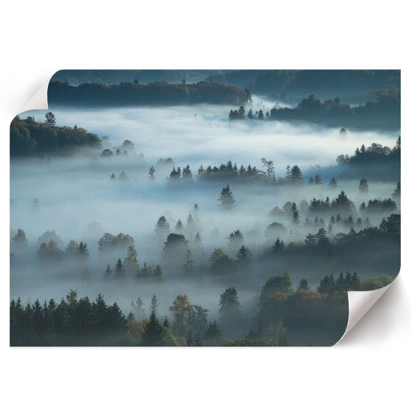Premium wall art featuring a foggy nature scene