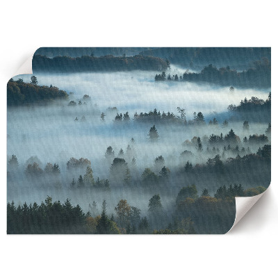 Premium wall art featuring a foggy nature scene