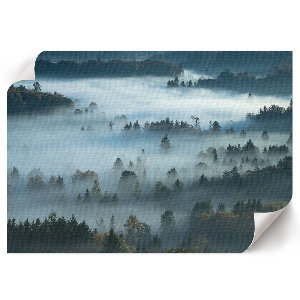 Premium wall art featuring a foggy nature scene