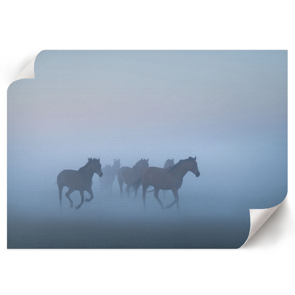 Canvas poster Galloping horses