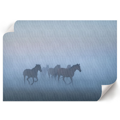 Canvas poster depicting galloping horses