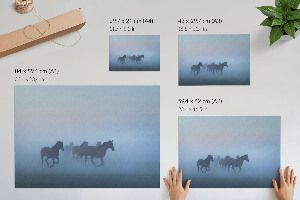 Canvas poster depicting galloping horses