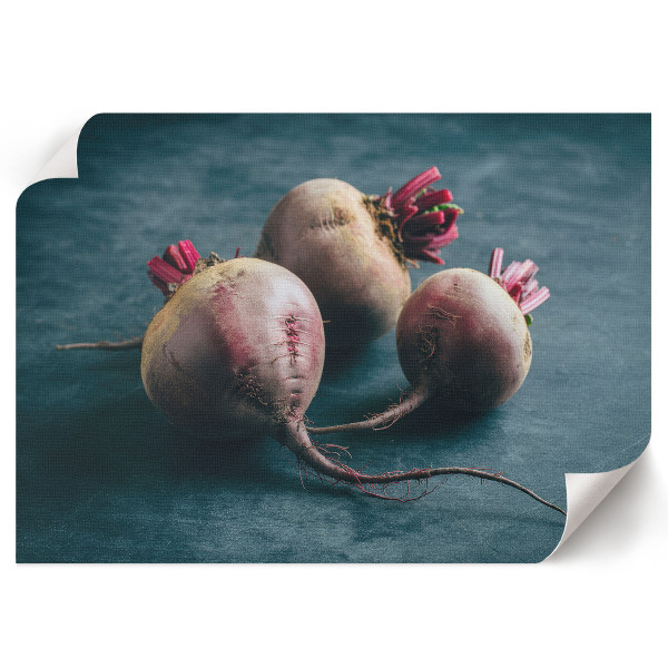 Canvas poster featuring a sweet beets illustration