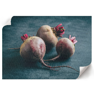 Canvas poster featuring a sweet beets illustration