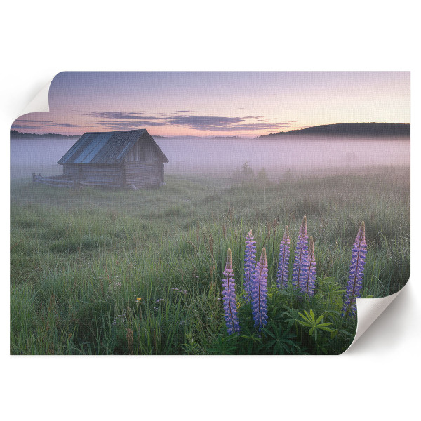 Foggy morning wall poster