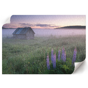 Foggy morning wall poster