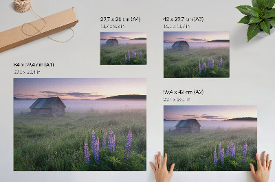 Foggy morning wall poster