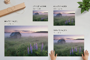 Foggy morning wall poster