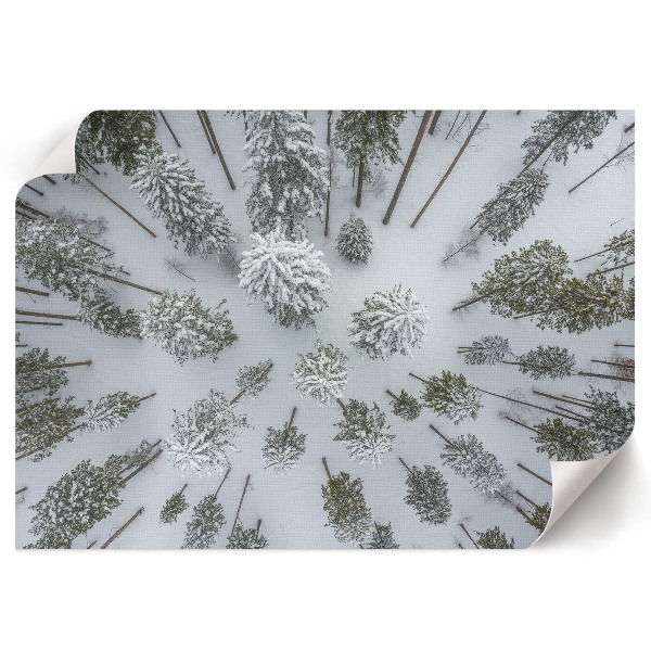 Premium wall art depicting a winter forest scene