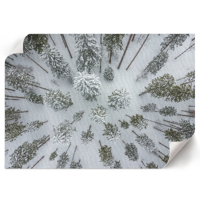 Premium wall art depicting a winter forest scene