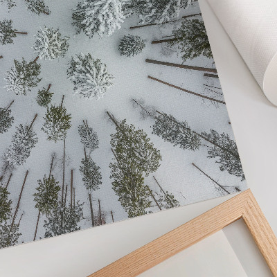 Premium wall art depicting a winter forest scene