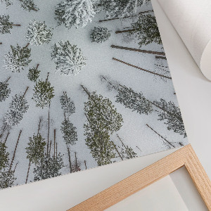 Premium wall art depicting a winter forest scene