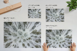 Premium wall art depicting a winter forest scene