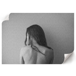 Premium wall art Black and white silhouette