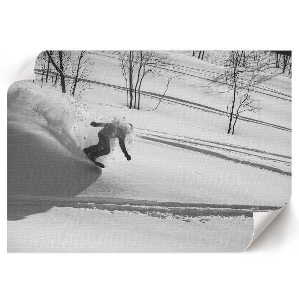 Wall poster White adventure